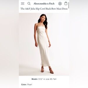 Abercrombie & Fitch Julia Slip Cowl Back-Bow Maxi Dress